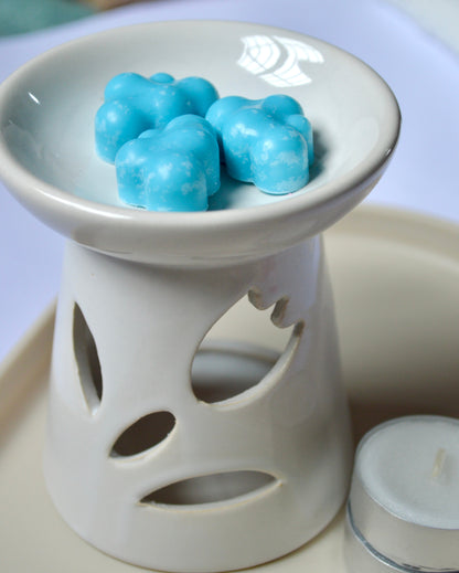 Wax Melts Clouds with aroma lamp